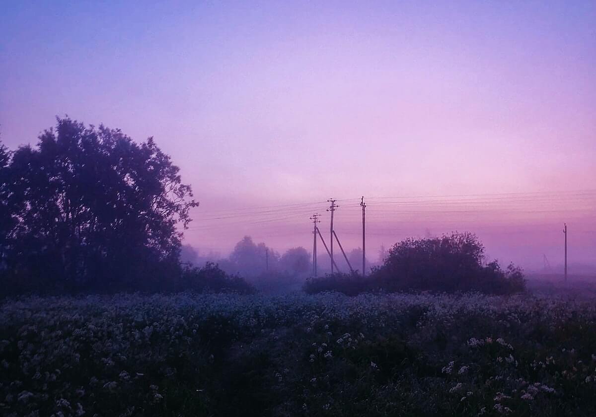 山东鲁能女团全胜晋级四强 乒超第二阶段蓄势待发